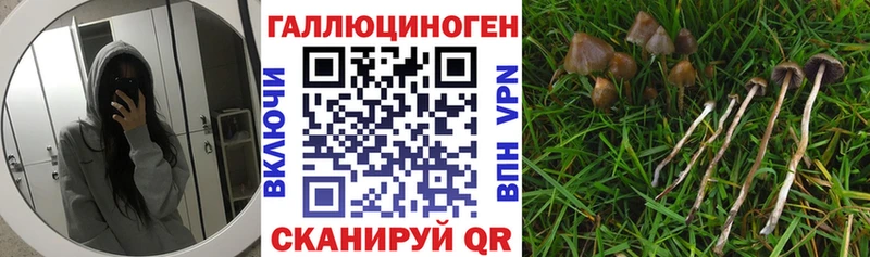 Галлюциногенные грибы мицелий  blacksprut как войти  Берёзовский 